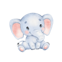 Daxiang Forever Free VPN, 巨象永久免费VPN